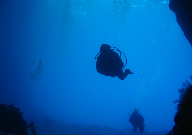 Diving in Vavau